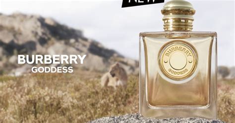 burberry body fragrance sample|burberry goddess perfume samples.